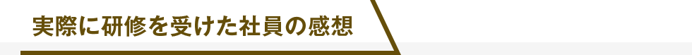 実際に研修を受けた社員の感想